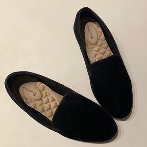 Birdies Starling - Black Velvet